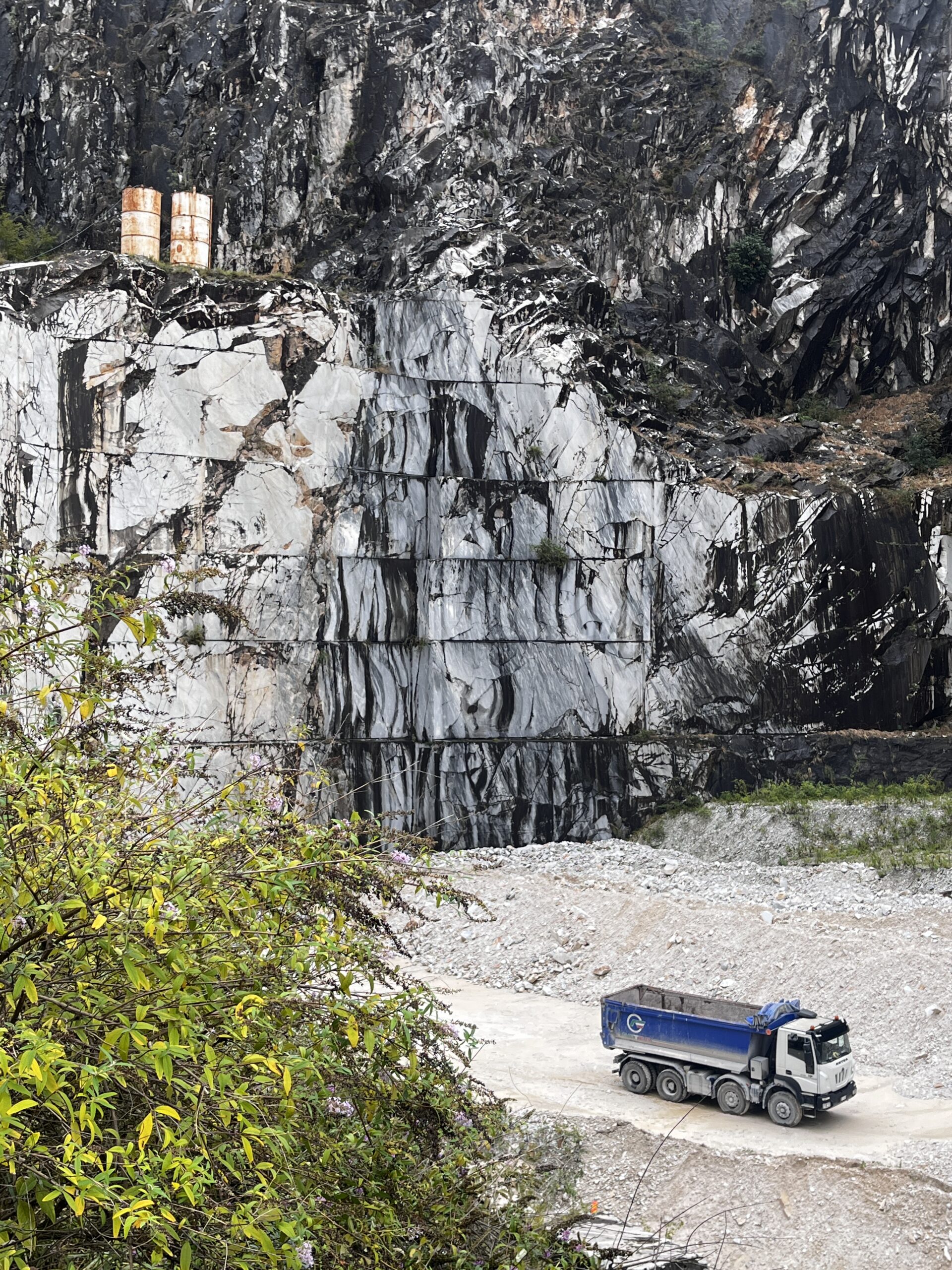 [Shared Campus Summer School + IUEP 2024 Prato]  クリティカルエコロジーズとエクストラクティビズム 2024  ➤  プラート編